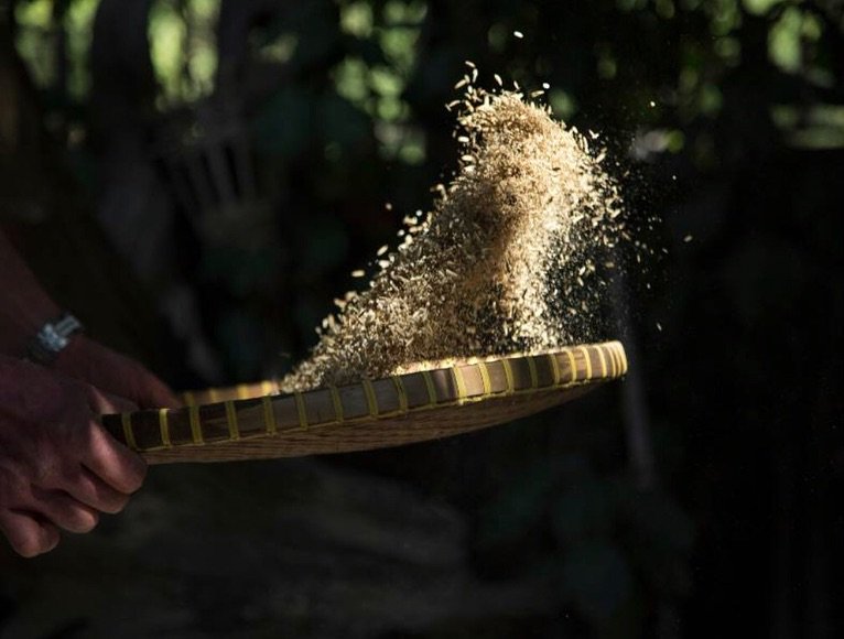 PT Aji Bakuh Anugrah - Fasilitas Produksi Pakan Ternak dan Rice Husk Ash di Gresik